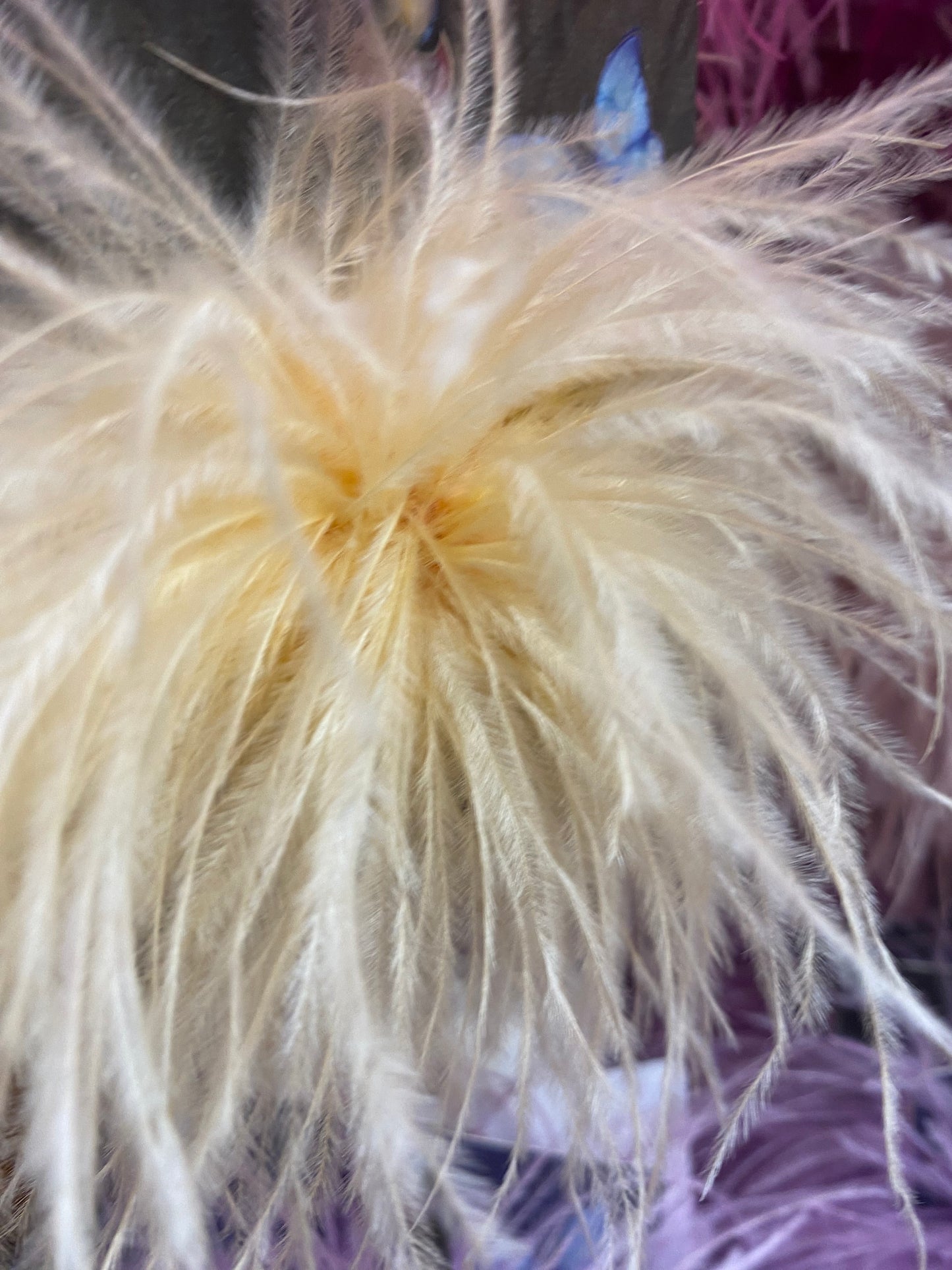 Spilla Plume