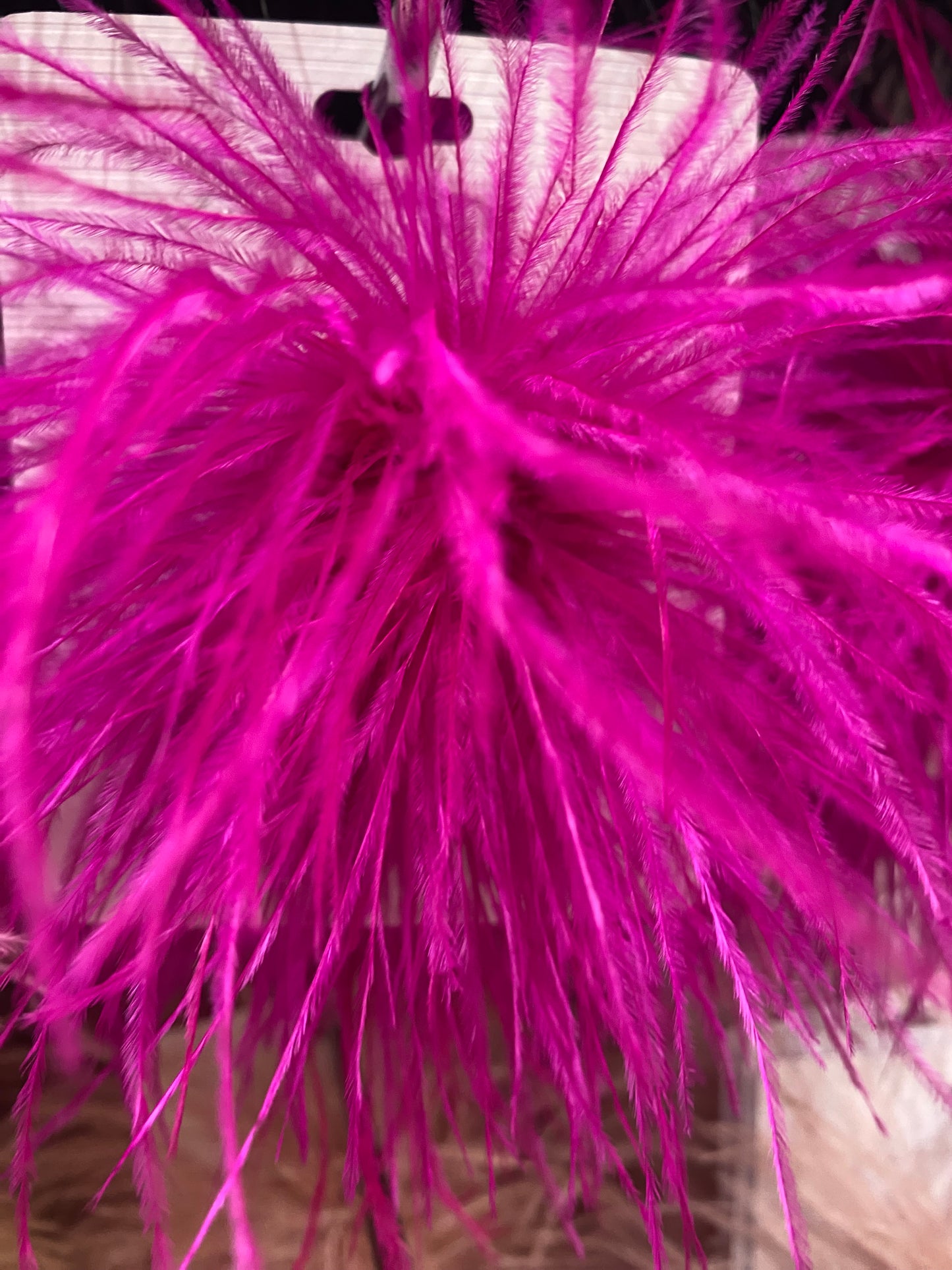 Spilla Plume